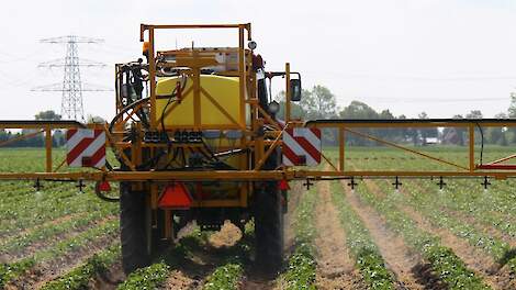 Intrekking twee werkzamestoffen gevolgen voor onkruidbestrijding in granen en aardappelen