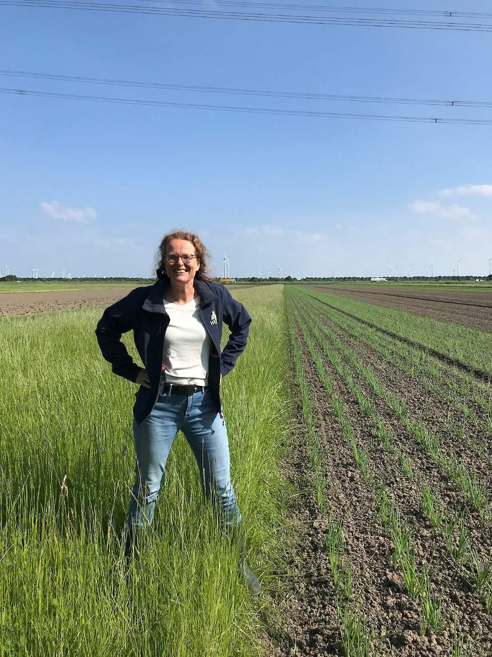 Rosemarie Slobbe, Hemus: „Bij ons is gebleken dat de kracht van strokenteelt hem zit in gewasdiversiteit op een perceel in het algemeen.”