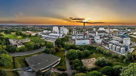 Duitse Cosun dochter legt bietentelers energieheffing van 4,50 euro/ton op.