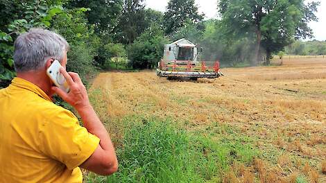 Graanprijzen: lichte daling tot lichte stijging