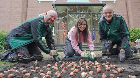 Amerikaanse ambassadeur plant opnieuw ‘Shefali Tulp’: ‘Een belangrijk symbool’