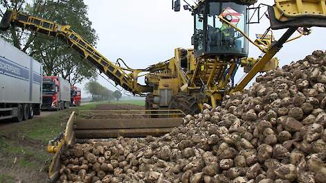 Suikeropbrengst 1,3 ton onder het vijfjaarsgemiddelde