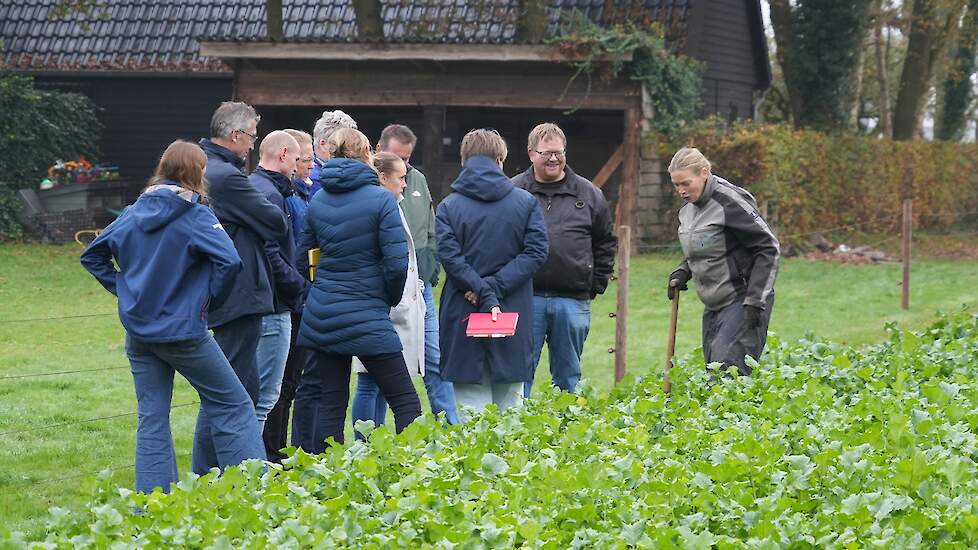 Stikstofefficiëntie en bodemkwaliteit