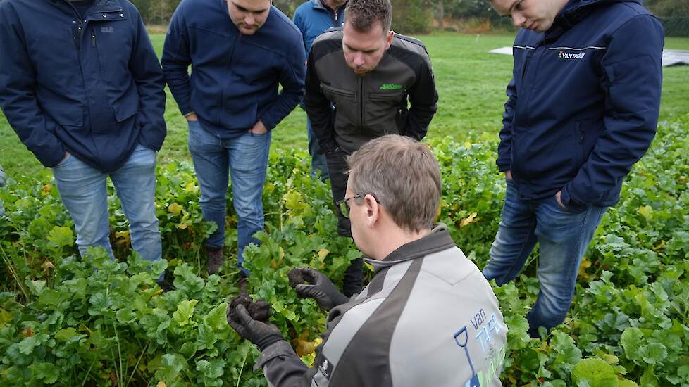 Ook dieper fijne poriën, wortelgroei en structuur.