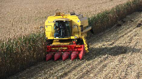 USDA-cijfers brachten weinig nieuws