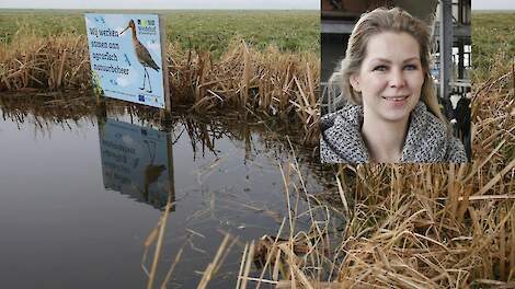 Landbouwminister Wiersma maakt geld vrij voor natuur-, water- en klimaatopgaven landelijk gebied: 'Stikstofuitstoot verlagen'