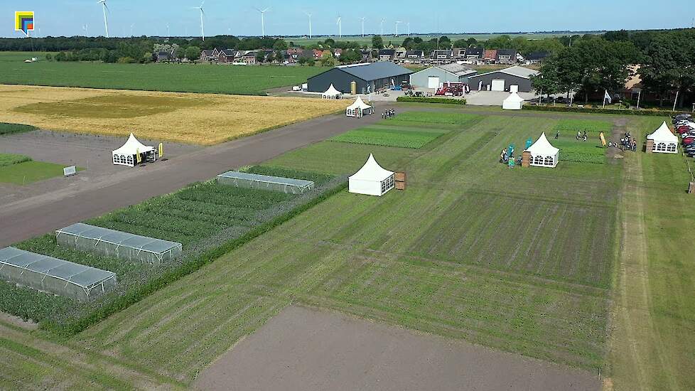 Nuttige eigenschappen van groenbemesters tijdens Groenbemesterdag in Valthermond