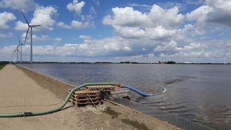 Aaltjesbestrijding door inundatie: effecten van het onderwater zetten van een perceel op bodemleven, structuur en chemie