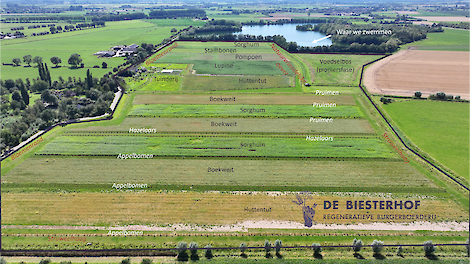 De Biesterhof past agroforestry toe binnen breed ICM-concept