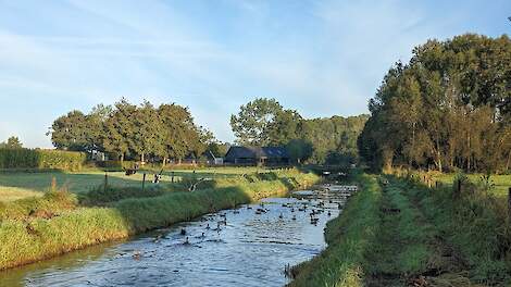 Water wordt schoner, maar niet schoon genoeg voor KRW. En voortgang stagneert