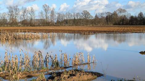 Wat is erger, een serie extreem droge of extreem natte jaren?