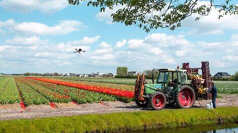 Project gestart om plantziektes met behulp van AI op te sporen