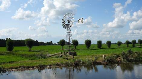 Mogelijkheden hoger waterpeil in veenweidegebied