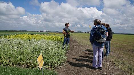 'Bodemstructuur is basis voor weerbaarheid en functioneren biologie'