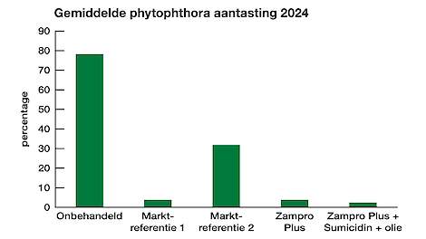 Grafiek met de gemiddelde phytophthora-aantasting in 2024