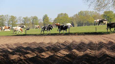 Samenwerking akkerbouwers en melkveehouders goed voor bodem en boer