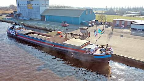 Video: Na veertig jaar eerste lading Groninger baktarwe per schip naar maalbedrijf Koopmans