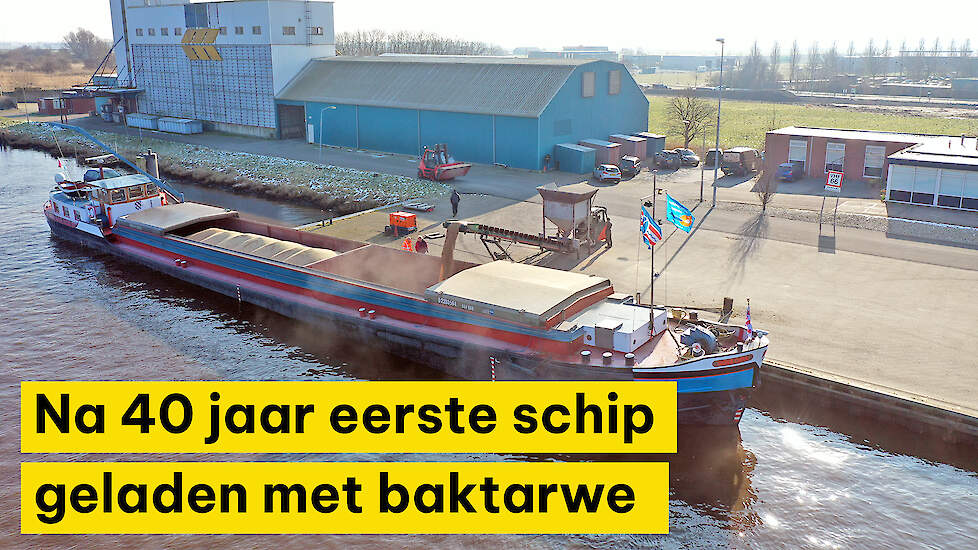 Eerste schip met Groningse baktarwe na 40 jaar op weg naar maalindustrie