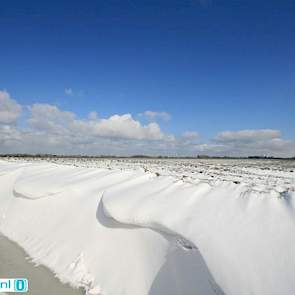 Sneeuwduinen in N.O Groningen (Foto: Jannes Wiersema)