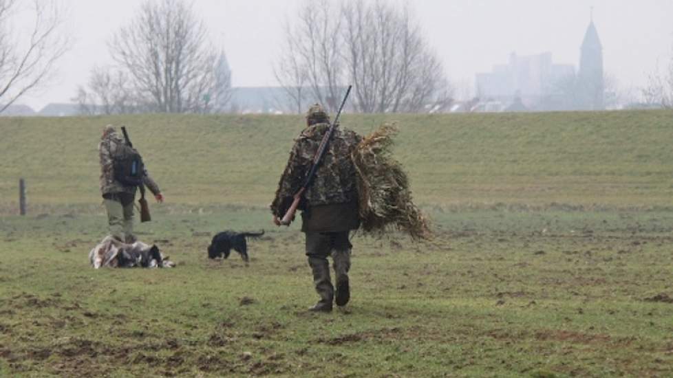 Aan elke ochtend komt een einde. Hoe wil je 300.000 ganzen uitschakelen als twee vrijwilligers er in 5 uren slechts zeven schieten? Het akkoord is onwerkbaar vinden de wildbeheerders.