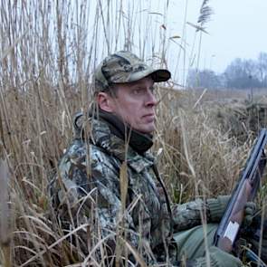 Nog even zit Van Werven in het riet, maar de ganzen laten zich niet meer zien. Velen zitten in de uiterwaarden, maar daar mogen de jagers niet komen (Natura 2000-gebied).