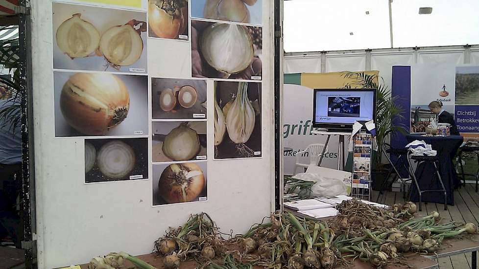 De Uiendokter had werk genoeg en waarschuwde voor teveel koper bespuiting in de strijd tegen bacterierot.