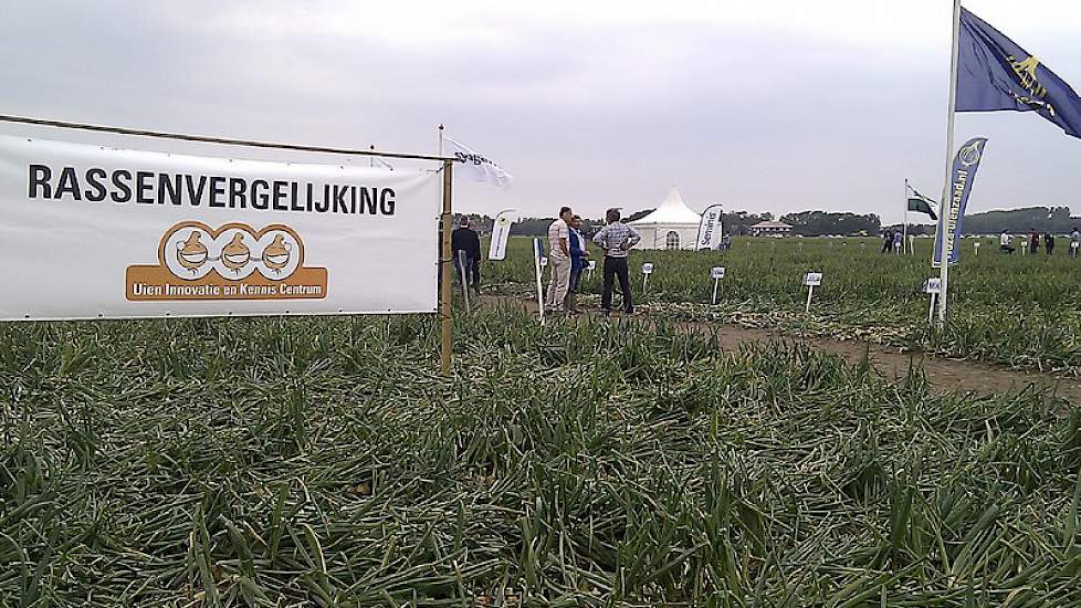 Tientallen uienrassen naast elkaar. Een beter beeld van alle mogelijke actuele uienrassen in Nederland is er niet.