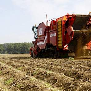 Om rooibeschadiging te voorkomen heeft Hilbert Somsen de multisep op een laag pitje staan.