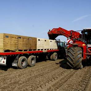 De aardappelen gaan direct in kisten de bewaring in. Dit zorgt voor flexibiliteit bij het sorteren en het voorkomt drukplekken.