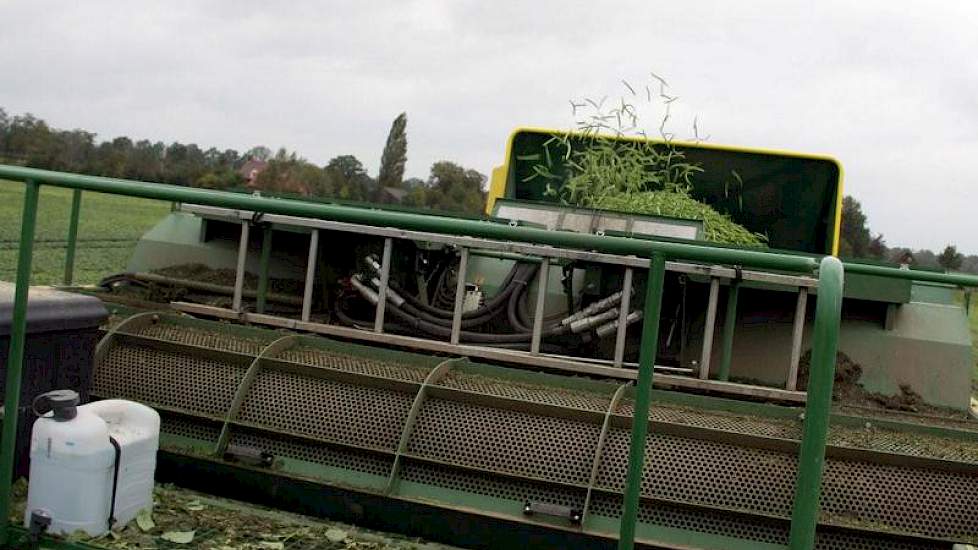 Als in de bunker van de plukker zo’n 5 ton zit, is het tijd om te lossen in containers op het erf.