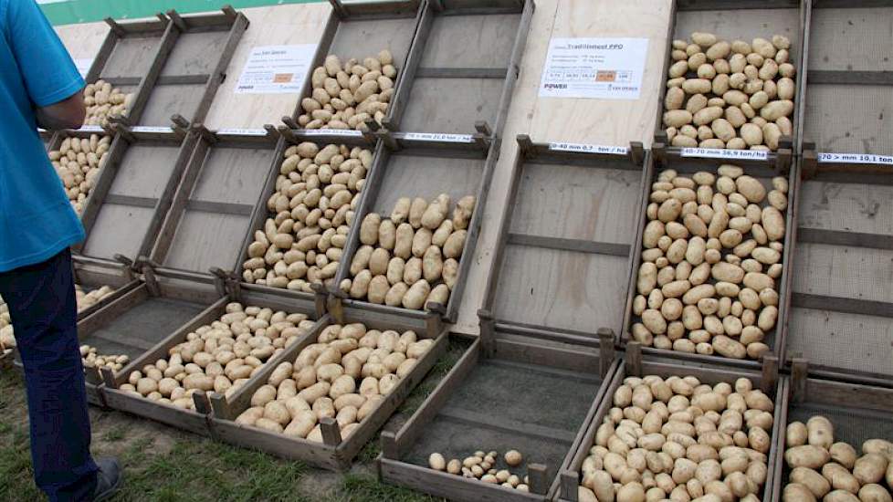 Van Iperen deelde een perceel op om bemestingsproeven te doen. De volledig vloeibare kunstmestgift in de rij van Van Iperen leverde grotere aardappelen op voor de friet, dan bij de andere drie mestgiften. De praktijk van PPO (rechts in beeld) naast het gr