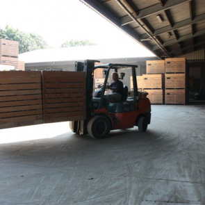 De heftruck heeft extra lange lepels waardoor twee kisten tegelijk van de wagen gepakt kunnen worden. Zo gaan ze direct de schuur in. Er komt geen stortbak aan de bak. Testers is ervan overtuigd dat hierdoor ook beschadigingen worden voorkomen.