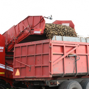 De varitron 470 heeft een voorraadbak van ongeveer 8 ton. Het lossen in de kar gaat snel.