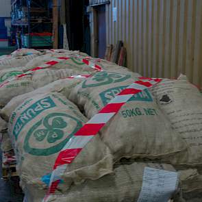 IPM houdt van ieder ras en elke klasse drie keurbalen apart. Deze gaan op een pallet en worden bovenin de laadruimte van het schip geladen. Zo kan de Algerijnse plantenziektenkundige dienst direct na aankomst van het schip alle partijen controleren, waard