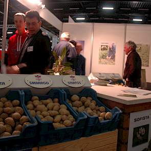 Ook handelshuis Semagri toont zijn zetmeelaardappelrassen