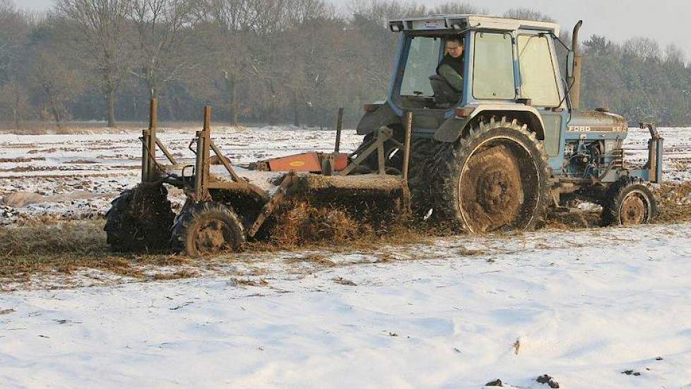 De akkerbouwers verwerken met uitzondering van mei tot half juni hun eigen peen.