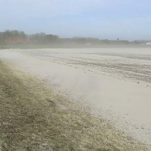 De plantuien van Hebben uit Luttelgeest hebben het zwaar te verduren.‘Je kunt de uien zien liggen’, zegt de akkerbouwer uit de Noordoostpolder. ‘Dit komt niet goed.’  Volgens accountmanager Ton Langenberg van De Groot en Slot is de schade nog moeilijk in