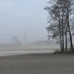 Omdat het nog steeds stuift, rest Hebben weinig anders dan afwachten. ‘Je kunt nu niets doen.’Foto: Luttelgeest.nl