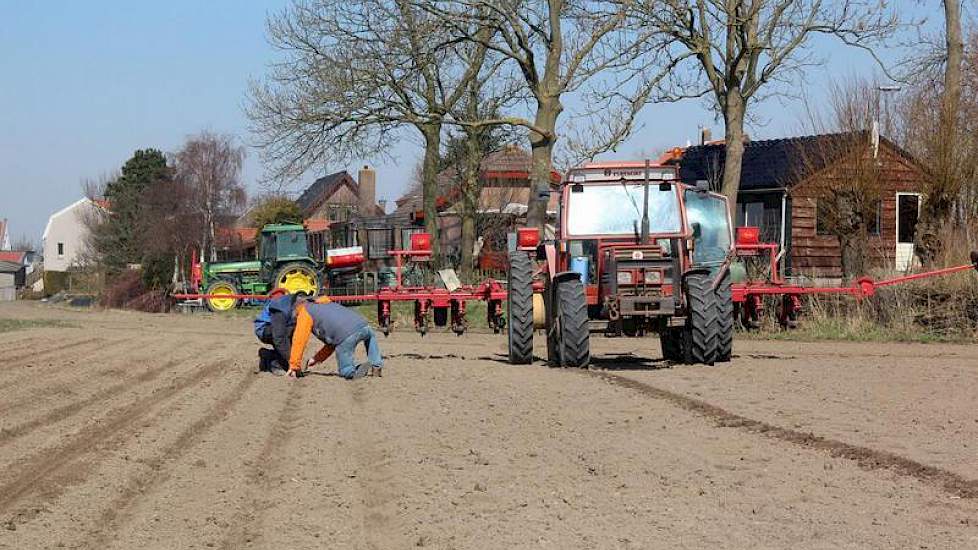 De Alexina bieten gaan de grond in, de grond warmt al lekker op in het zonnetje, laat Joris van den Heuvel via twitter weten. Zijn ouders hebben een akkerbouwbedrijf in Zuid-Beijerland. Foto: Joris van den Heuvel