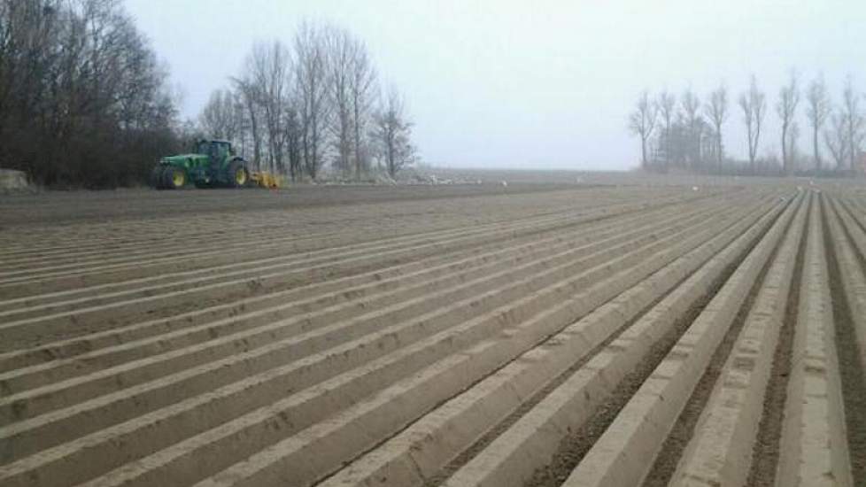 Vandaag is het tijd voor de volgende stap voor de akkerbouwer op Goeree Overflakkee: het trekken van ruggen voor witlof. Het eerste perceel witlofbedden is bijna klaar, geeft hij aan. ‘Mooie strakke bedden. Op naar de laatste 6,5 hectare’, zegt Jacob-Jan