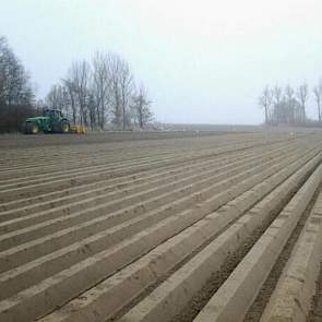 Vandaag is het tijd voor de volgende stap voor de akkerbouwer op Goeree Overflakkee: het trekken van ruggen voor witlof. Het eerste perceel witlofbedden is bijna klaar, geeft hij aan. ‘Mooie strakke bedden. Op naar de laatste 6,5 hectare’, zegt Jacob-Jan