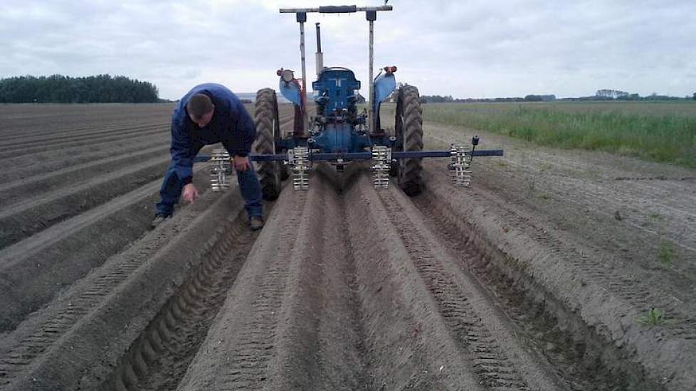 Wim de Witte, akkerbouwer in Steenbergen is op het land bezig de korst van de bedden met B-peen te breken.