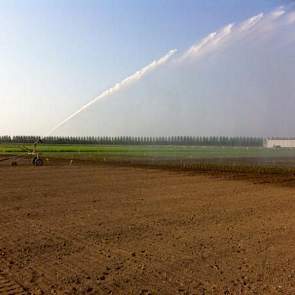 Jan van der Slik, vertegenwoordiger bij Mol Agrocom twittert een foto van een beregeningsinstallatie in de knolselderij in Zuidwest-Nederland.