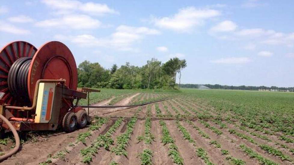 Bij Jacob van den Borne uit Reusel draait de eerste haspel in de aardappelen al weer.