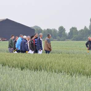 Op het graanproefveld van De Witte Agro ligt een fungicidenproef in drie rassen tarwe.