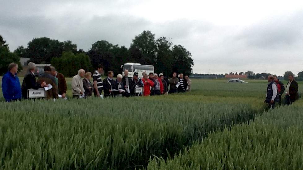 Op het tarwedemoveld van Heyboer liggen circa vijftien wintertarwerassen en diverse ziektebestrijdingsschema’s.