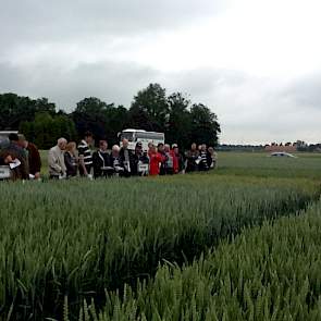 Op het tarwedemoveld van Heyboer liggen circa vijftien wintertarwerassen en diverse ziektebestrijdingsschema’s.