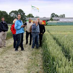 Ook in de onbehandelde Expert zijn fusarium en sneeuwschimmel zichtbaar. „Tabasco had eigenlijk apart tijdens de bloei moeten worden gespoten, maar het is een gezond ras.”