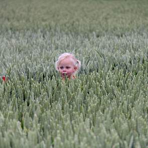 Geen graanhaantje ;-) maar dochter van één van de deelnemers aan de Bodemdag bij PPO.