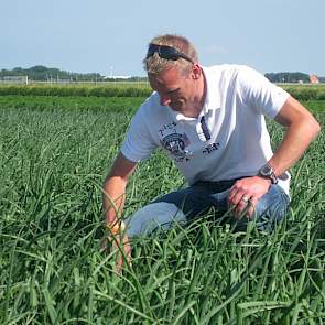 Uienzaadveredelaar De Groot en Slot heeft hoge verwachtingen van het nieuwe uienras Hysky, zegt verkoopleider Jaap Jonker. ‘Dit ras is partieel resistent tegen fusarium. Dat is een aanzienlijke stap voorwaarts.’